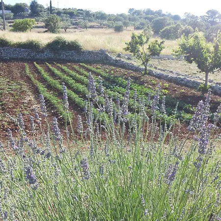 Trulli Sabrina Casa de Férias Locorotondo