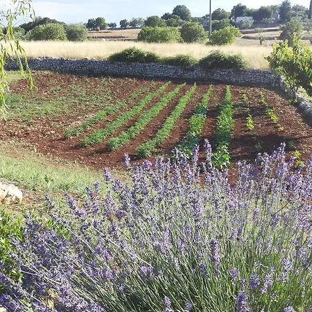 Σπίτι διακοπών Trulli Sabrina Locorotondo
