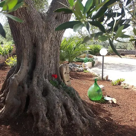Casa de Férias Trulli Sabrina